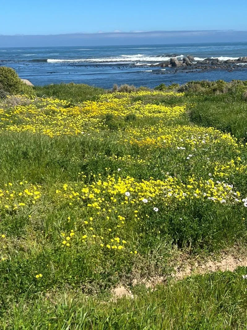 795 m² Land available in Jacobs Bay