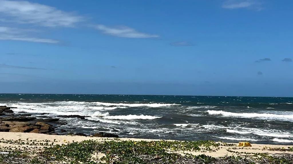 4 Bedroom Apartment / flat for sale in Shelly Beach