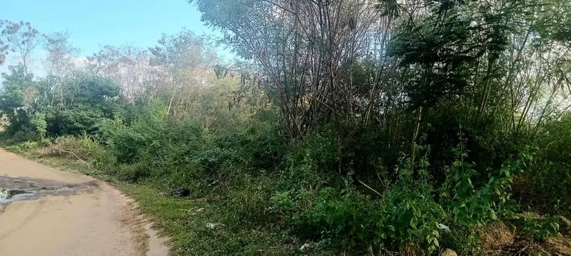 1 314 m² Land available in Mandeni