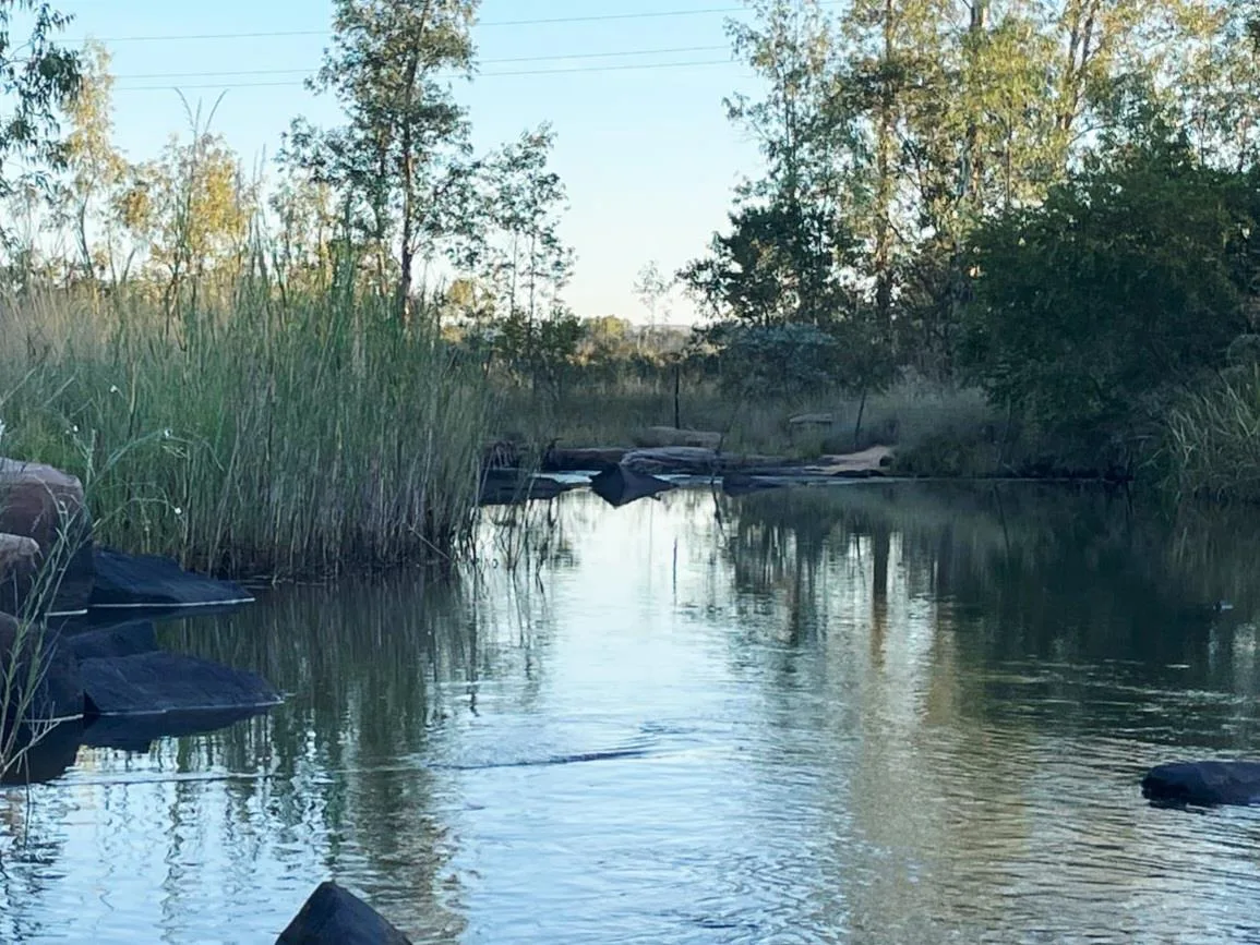 43.2 ha Farm in Vaalwater