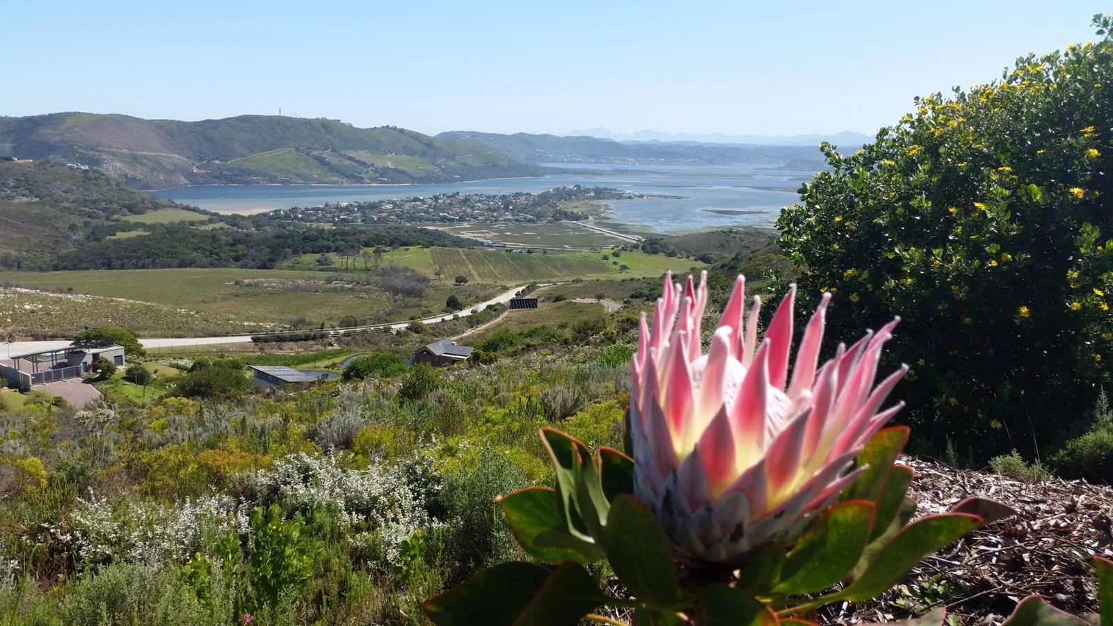 1 257 m² Land available in Fernwood Estate