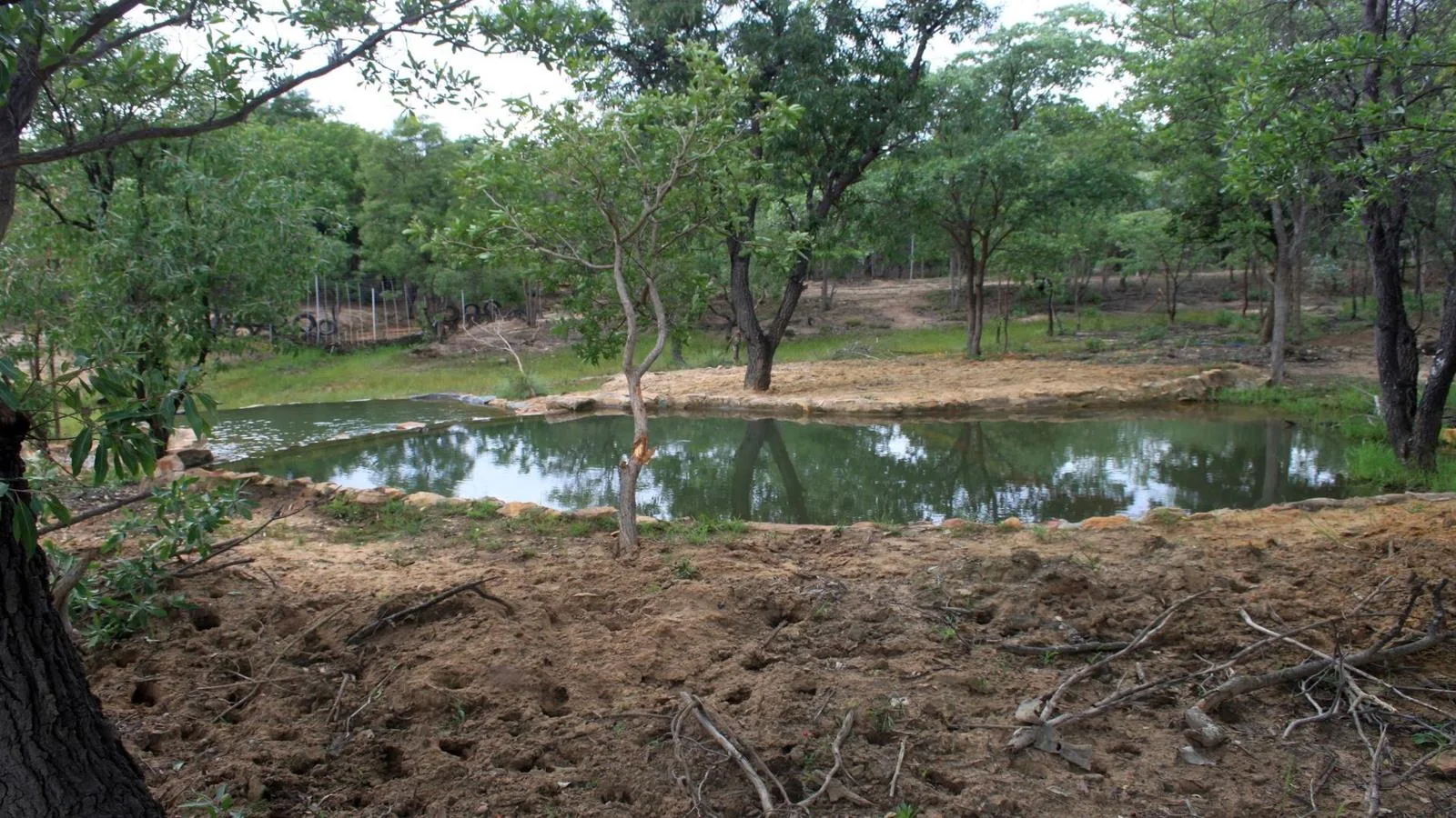 43 ha Farm in Vaalwater