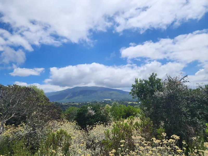 6.3 ha Land available in Hoekwil