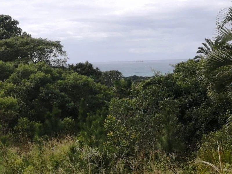 1 813 m² Land available in Palm Beach