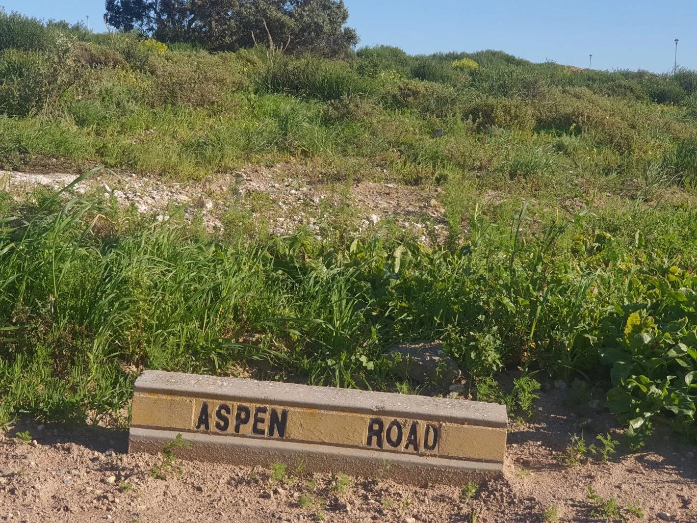 398 m² Land available in St Helena Views