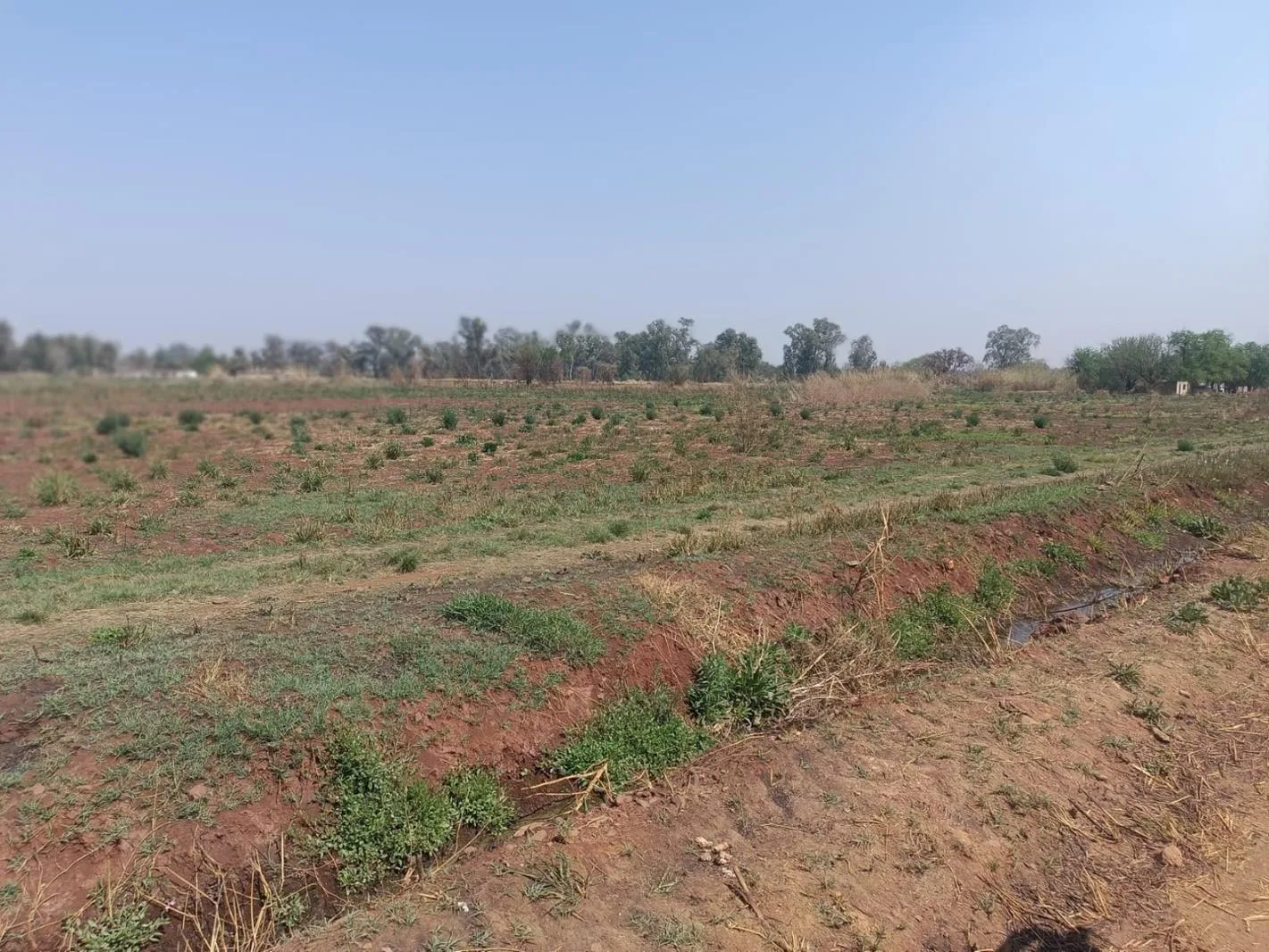 11.2 ha Farm in Wonderboom