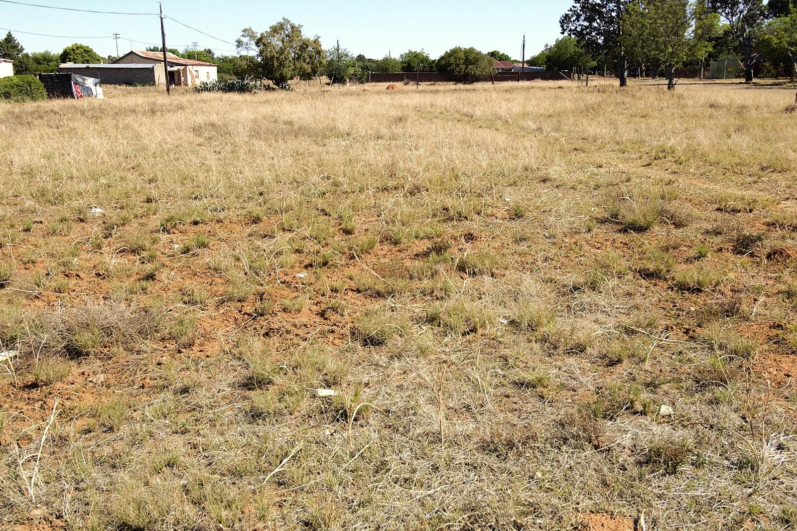 Property for sale in Springfontein