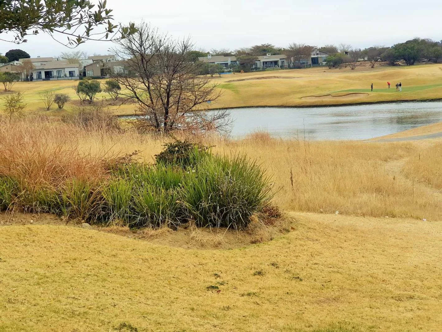 Property for sale in Jackal Creek Golf Estate