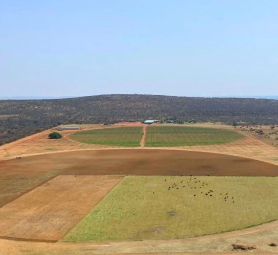445 ha Farm in Modimolle (Nylstroom) Outlying