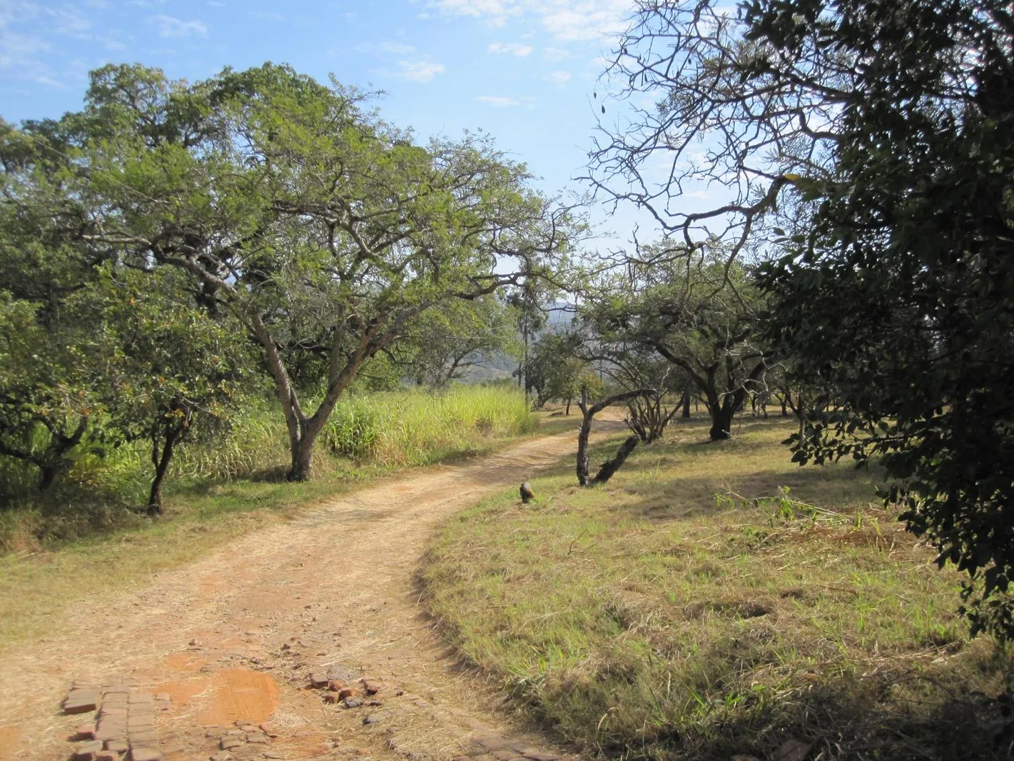 24.6 ha Farm in West Acres
