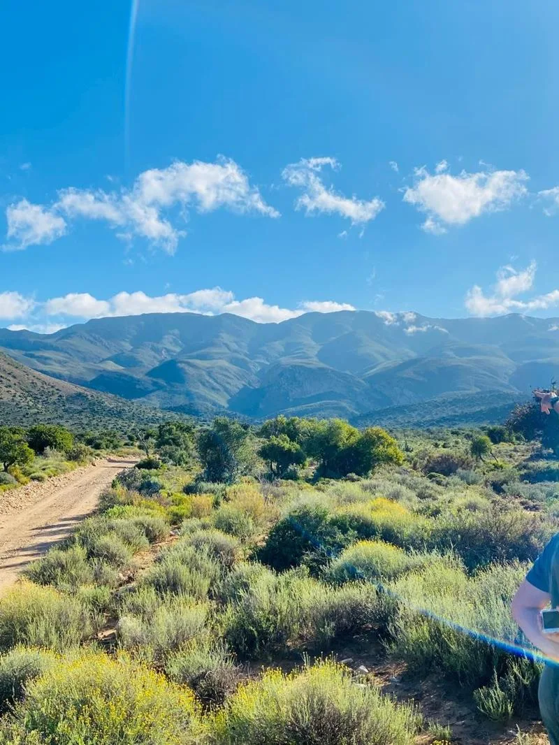 1 ha Land available in Ladismith