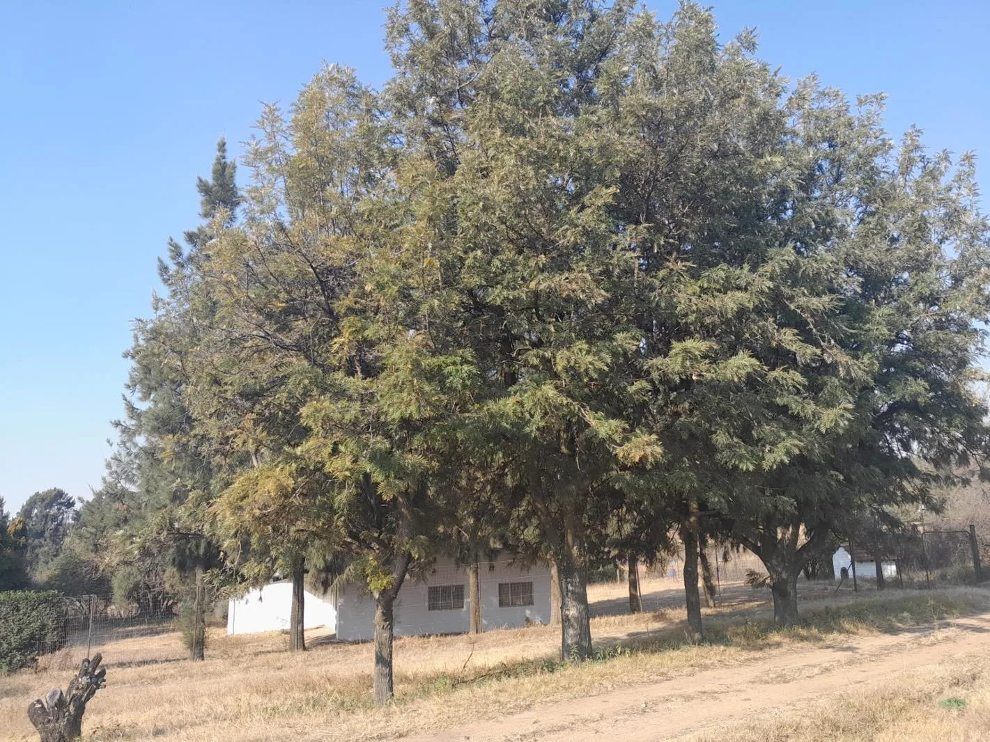 Property for sale in Mnandi AH