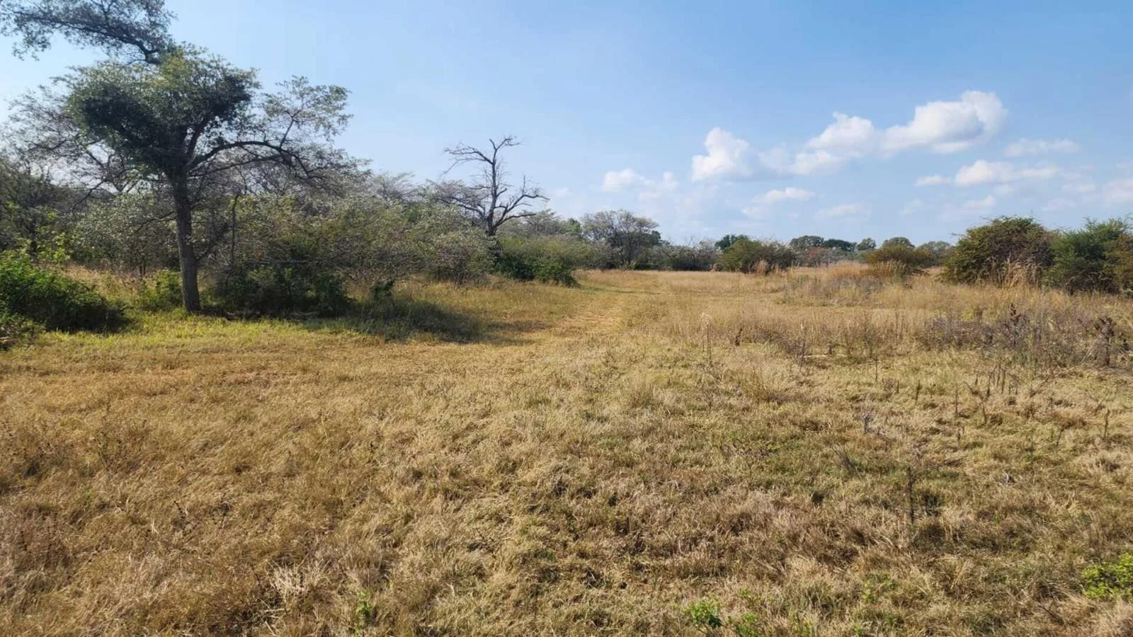 21 ha Farm in Modimolle (Nylstroom)
