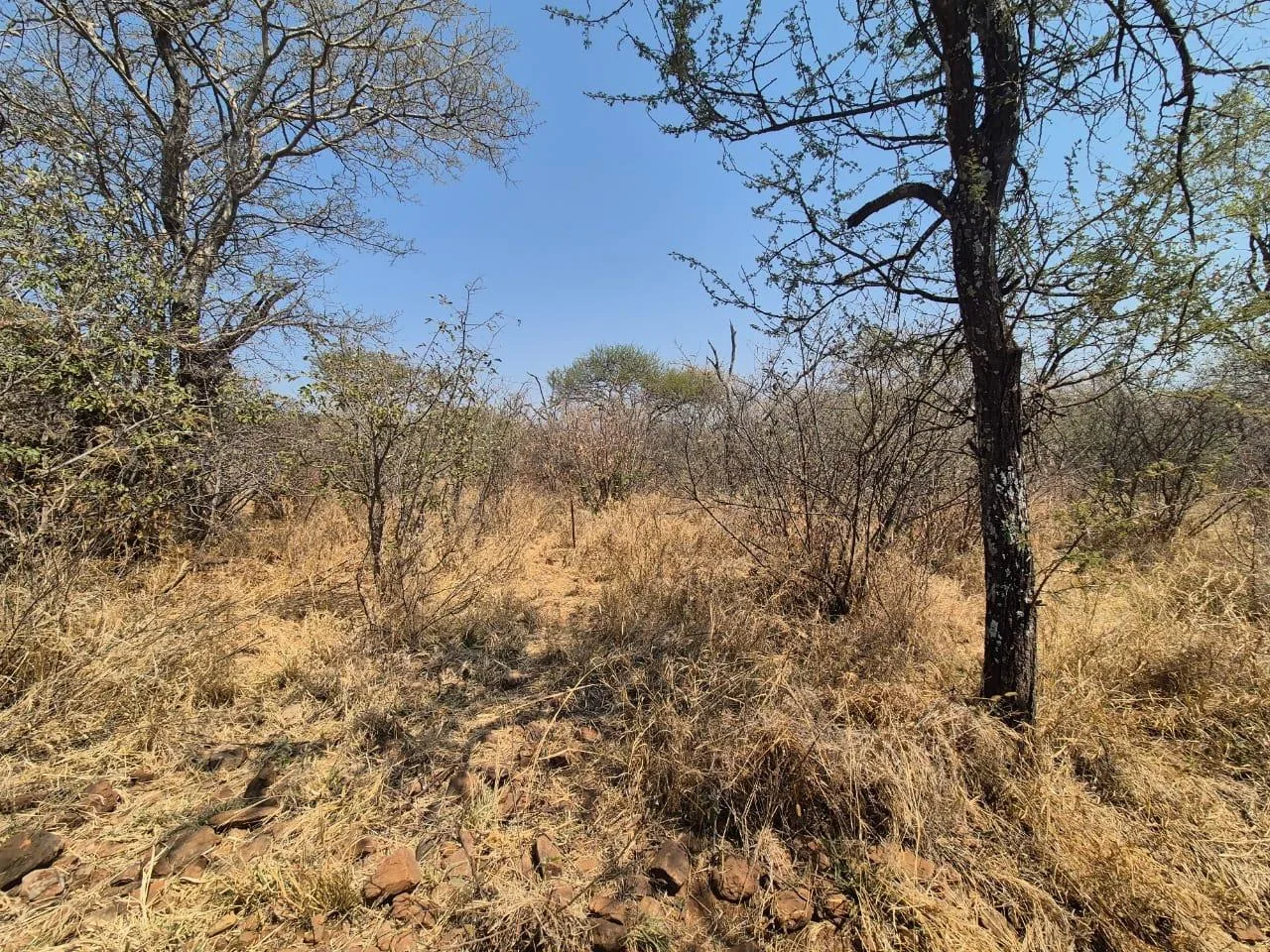 1.3 ha Land available in Thabazimbi