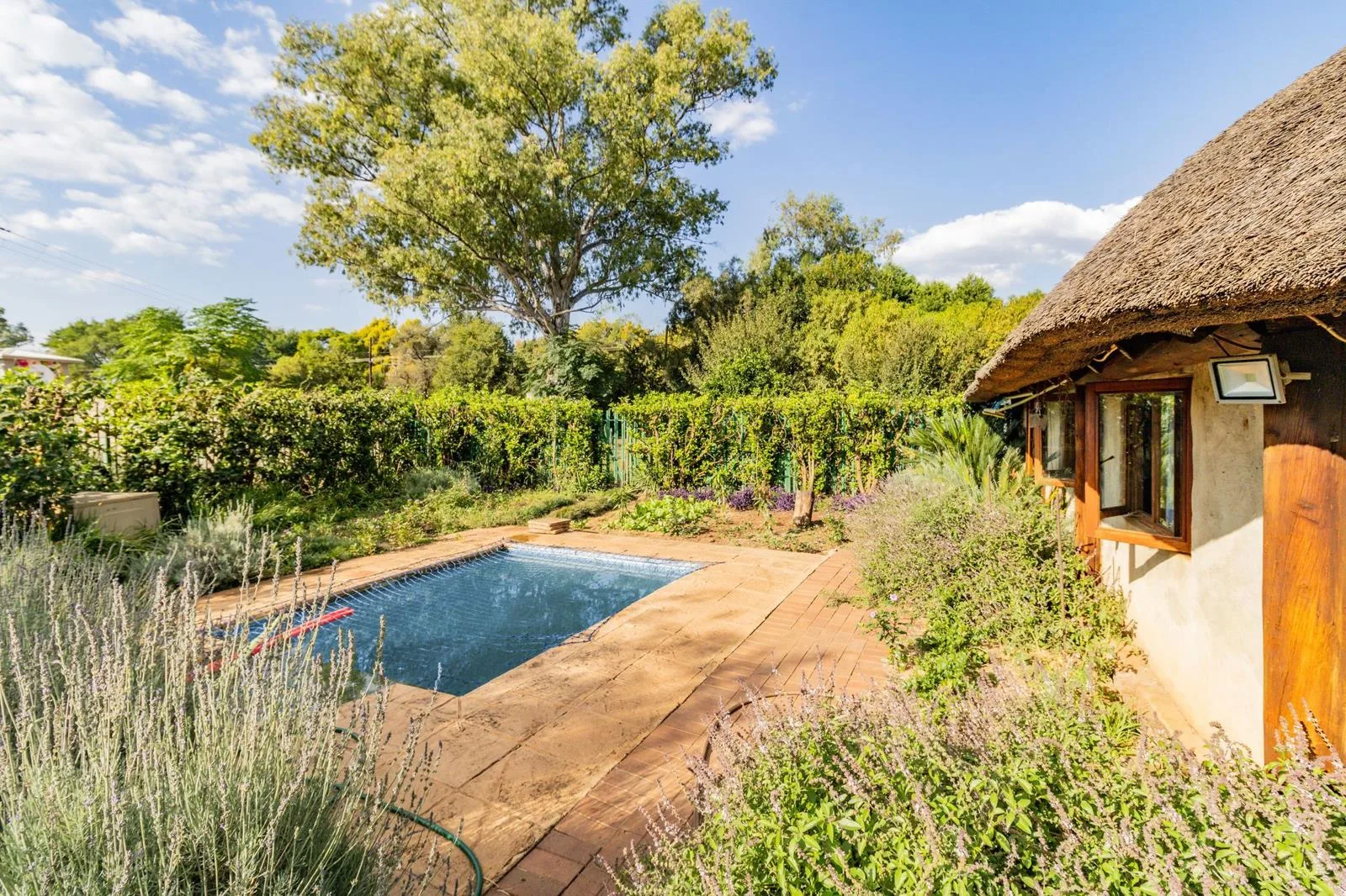 4 201 m² Farm in Scheerpoort AH