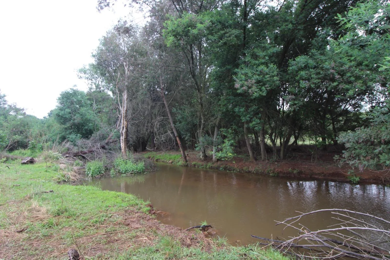 216 ha Farm in Sterkfontein