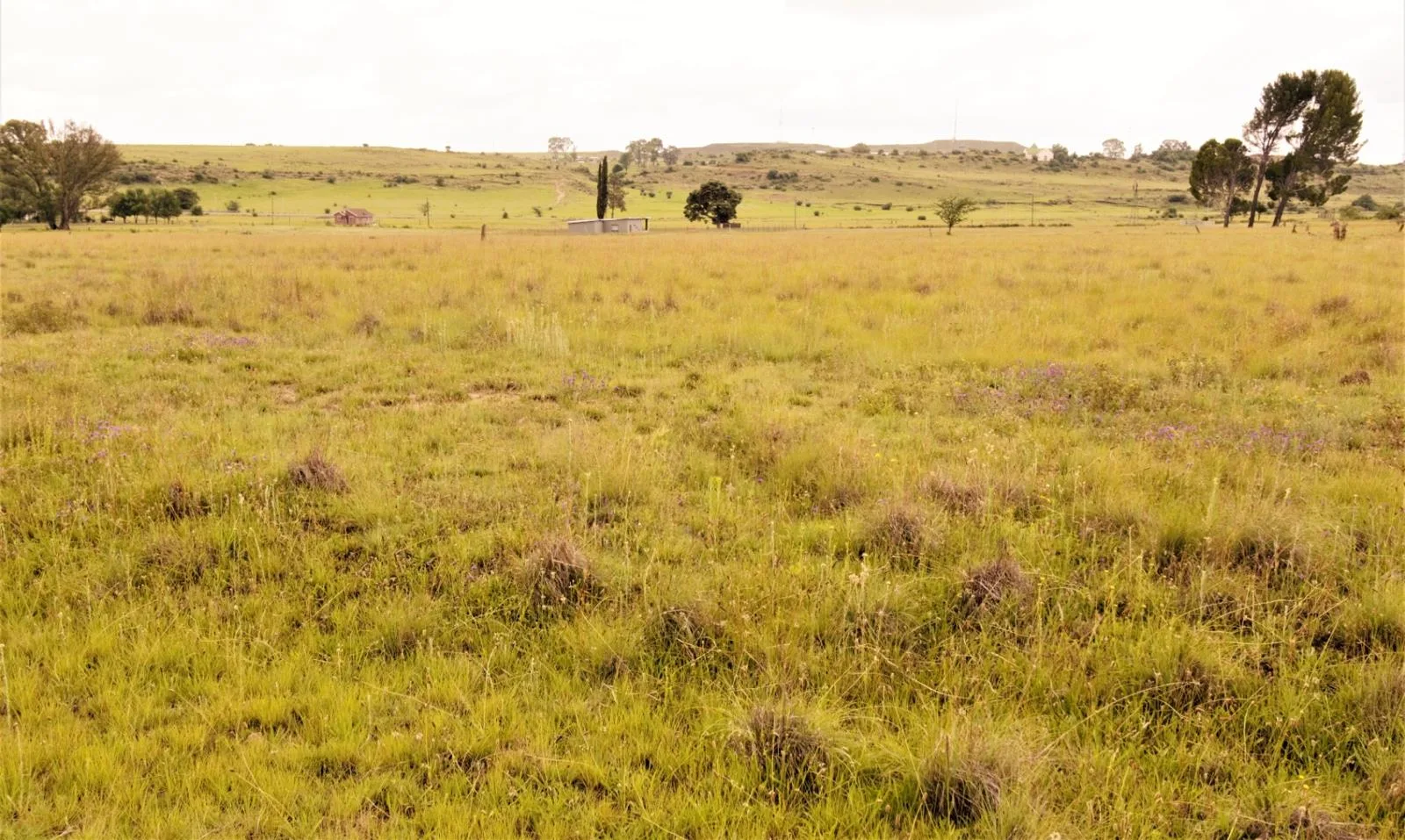 2 974 m² Land available in Hobhouse