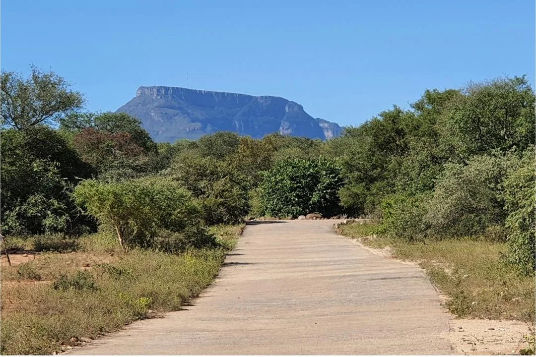 3 Bedroom House for sale in Blyde Wildlife Estate