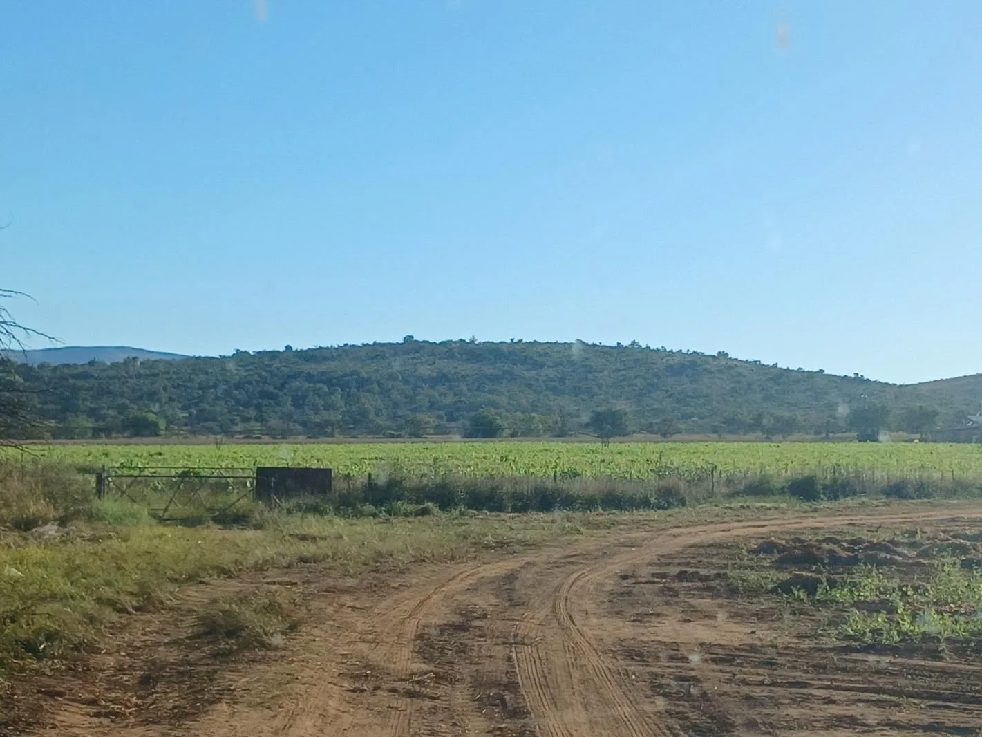 Farm in Modimolle (Nylstroom) Outlying