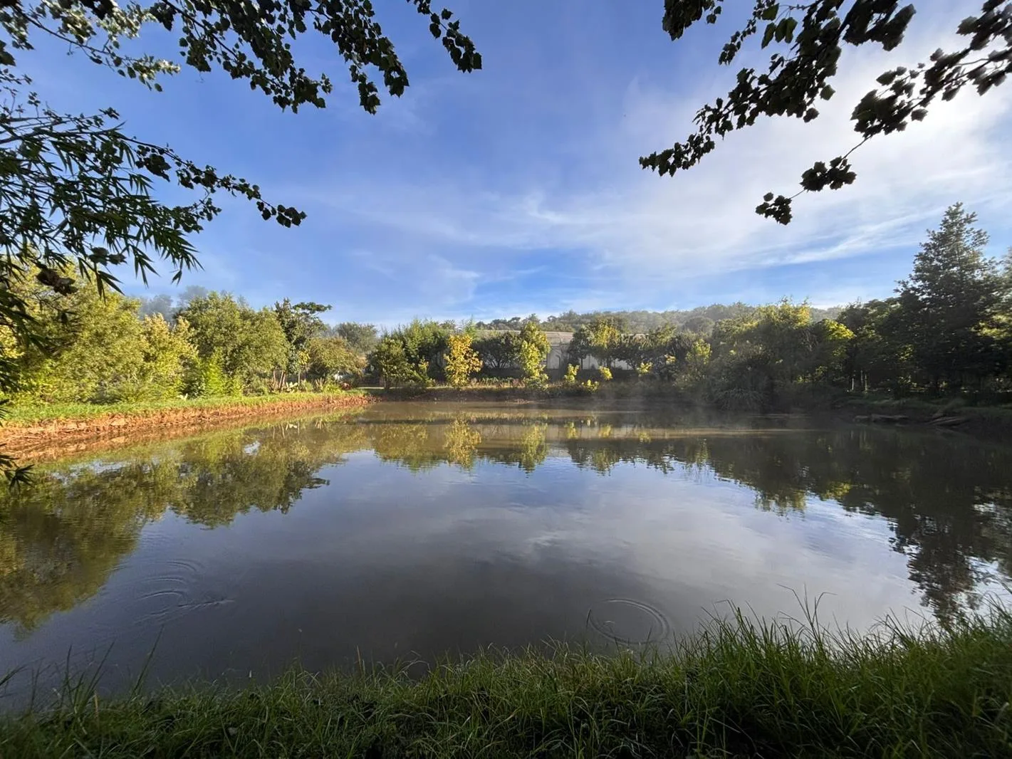 1.9 ha Farm in Hartzenbergfontein