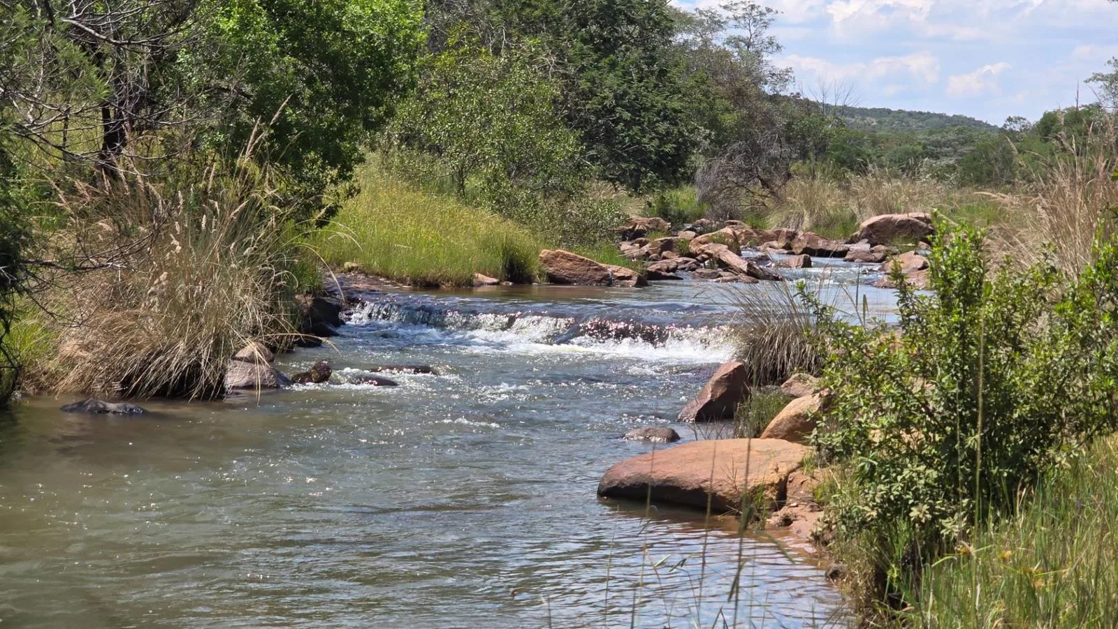 633 ha Farm in Vaalwater