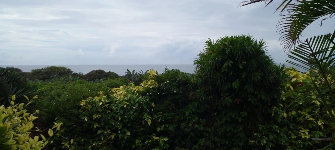 3 Bedroom House for sale in Hibberdene