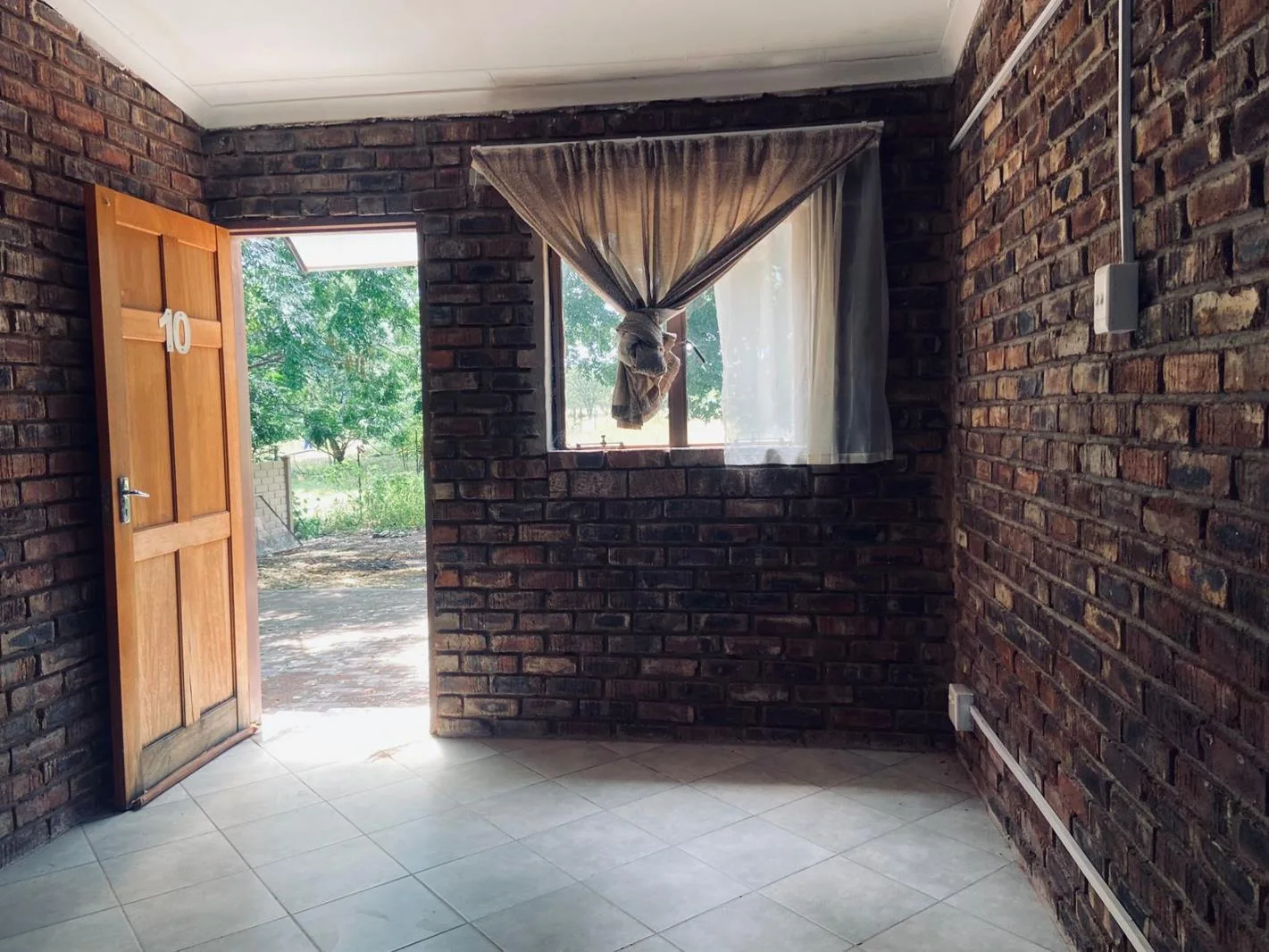 Bachelor apartment in Ivydale