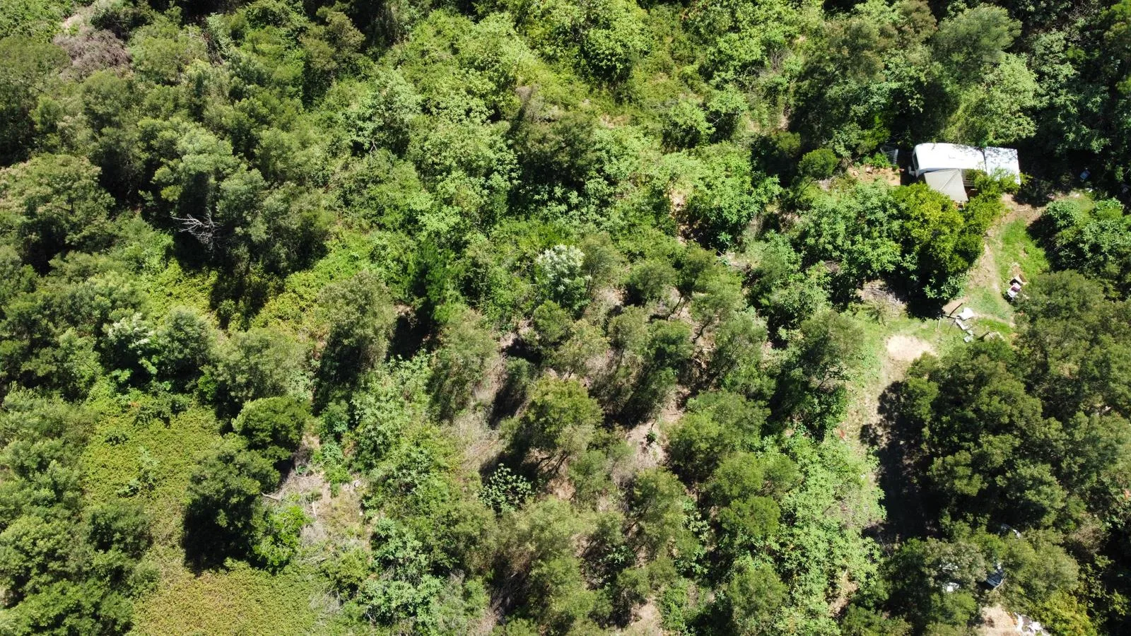 3 945 m² Land available in Suurbraak