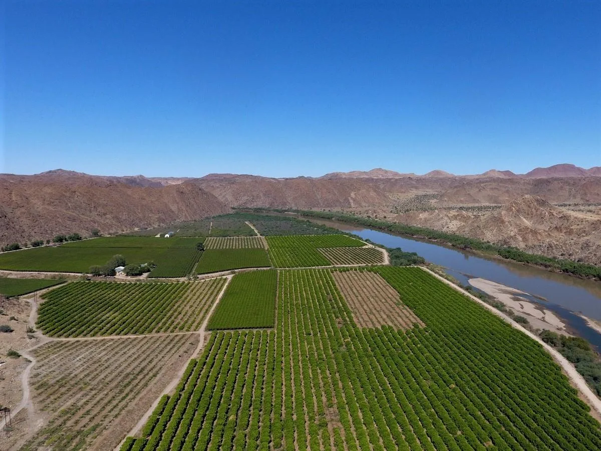 62 ha Farm in Kakamas