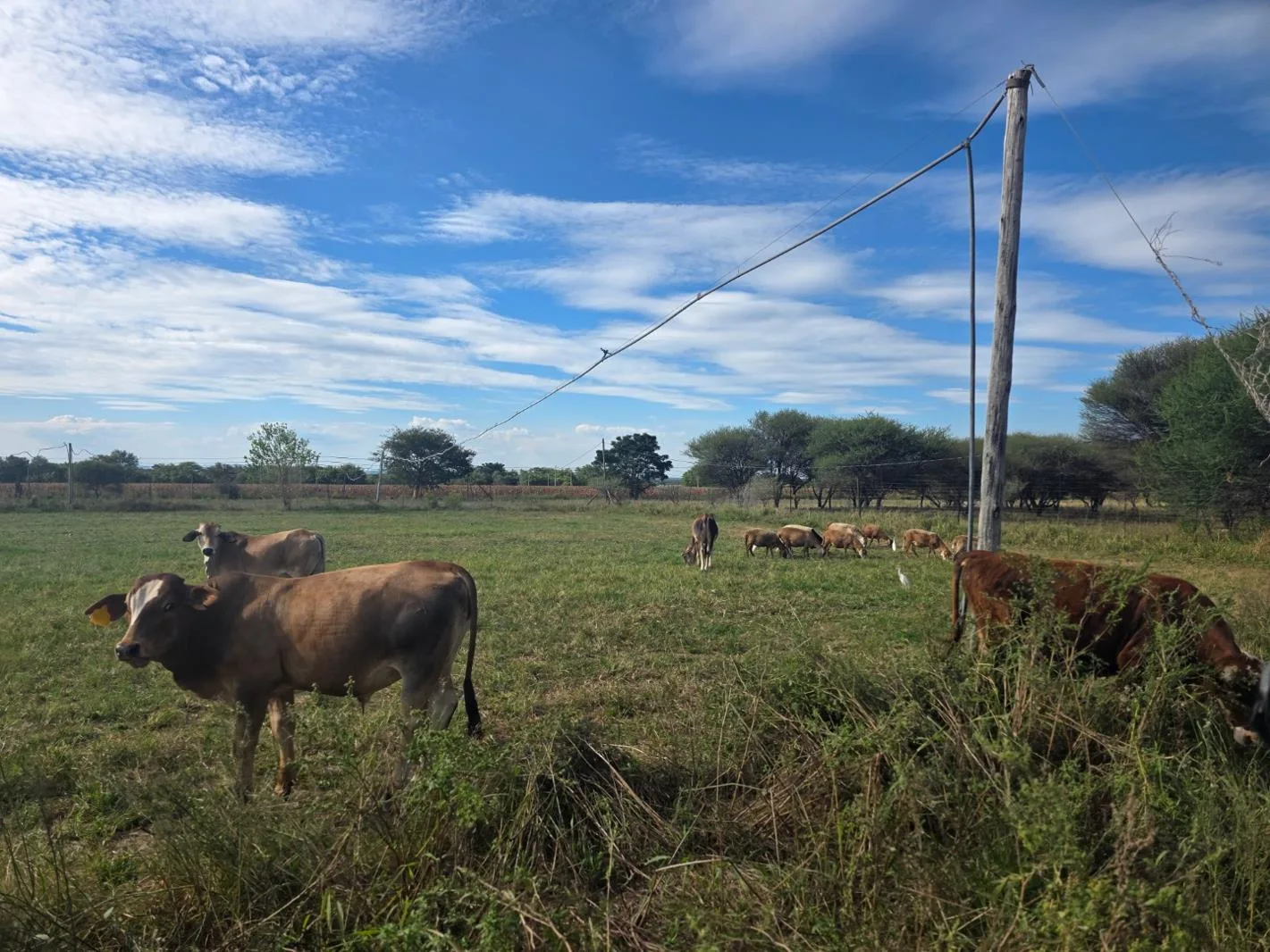 75 ha Farm in Brits Outlying