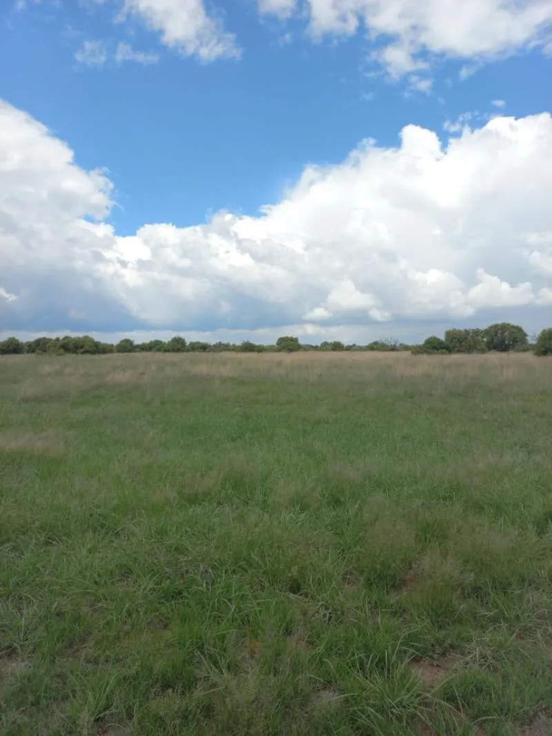 702 ha Farm in Vryburg