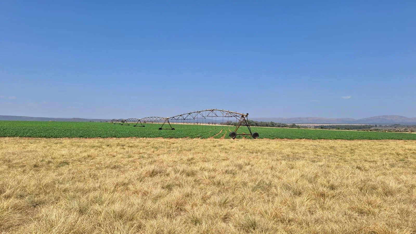 406 ha Farm in Alma