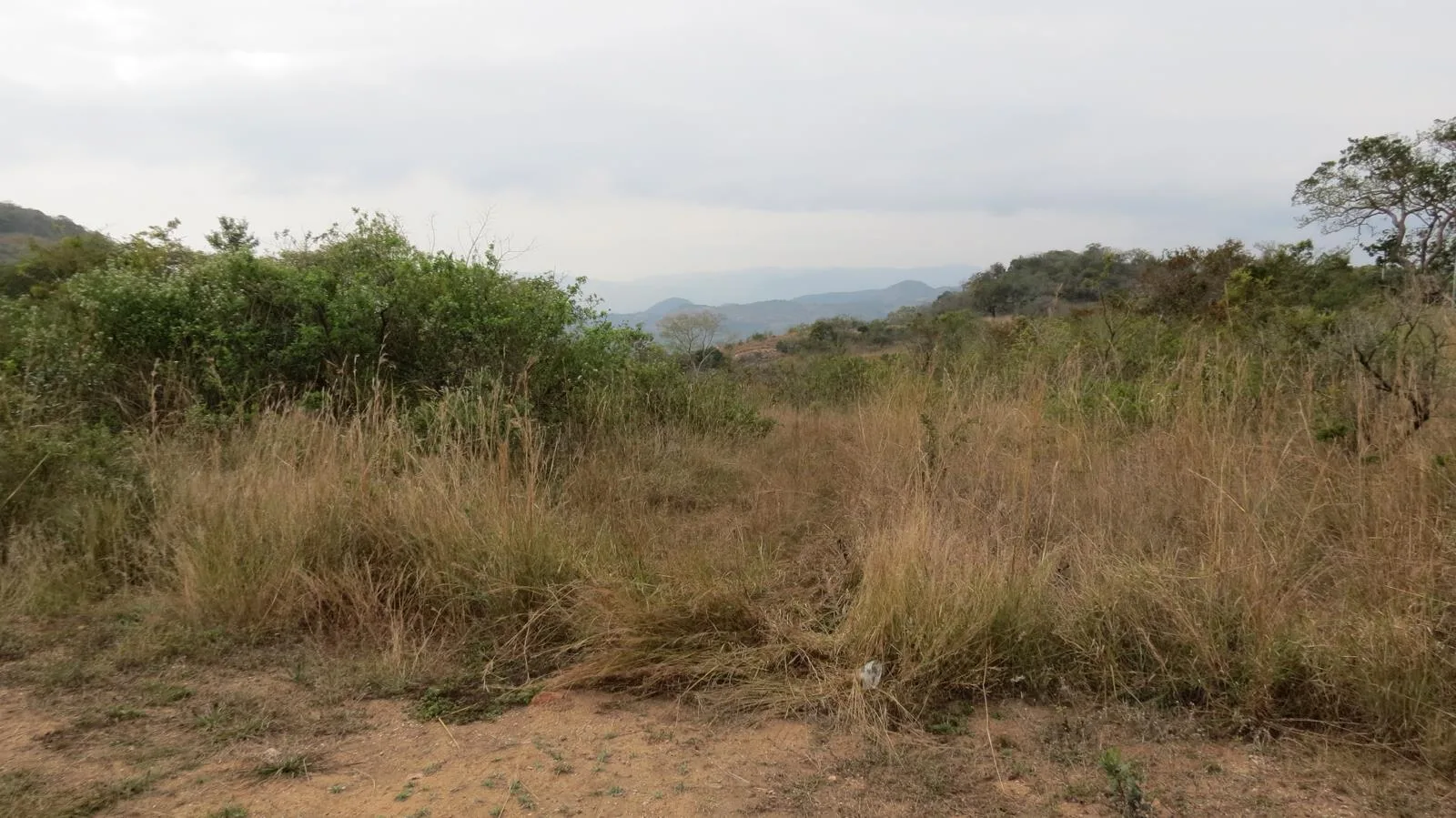 12 800 ha Farm in Karino