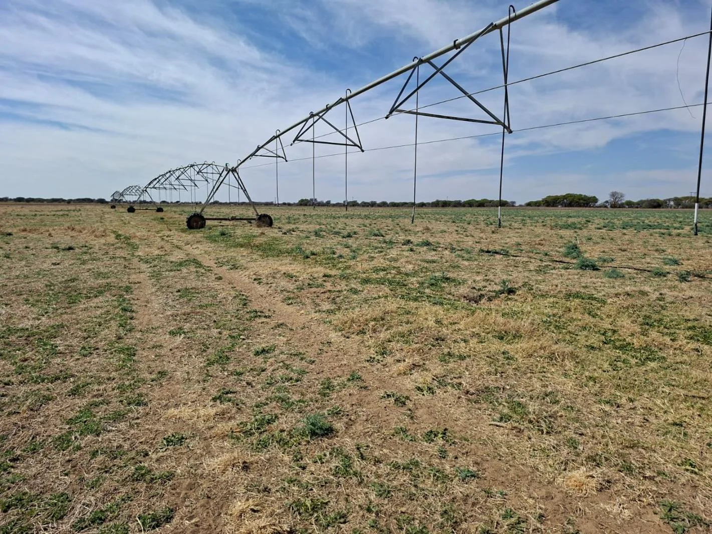 342.6 ha Farm in Vryburg