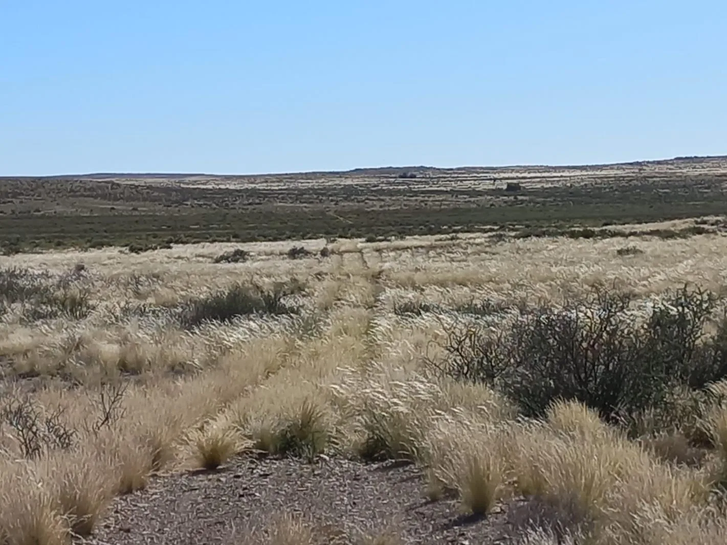 7 070 ha Farm in Brandvlei