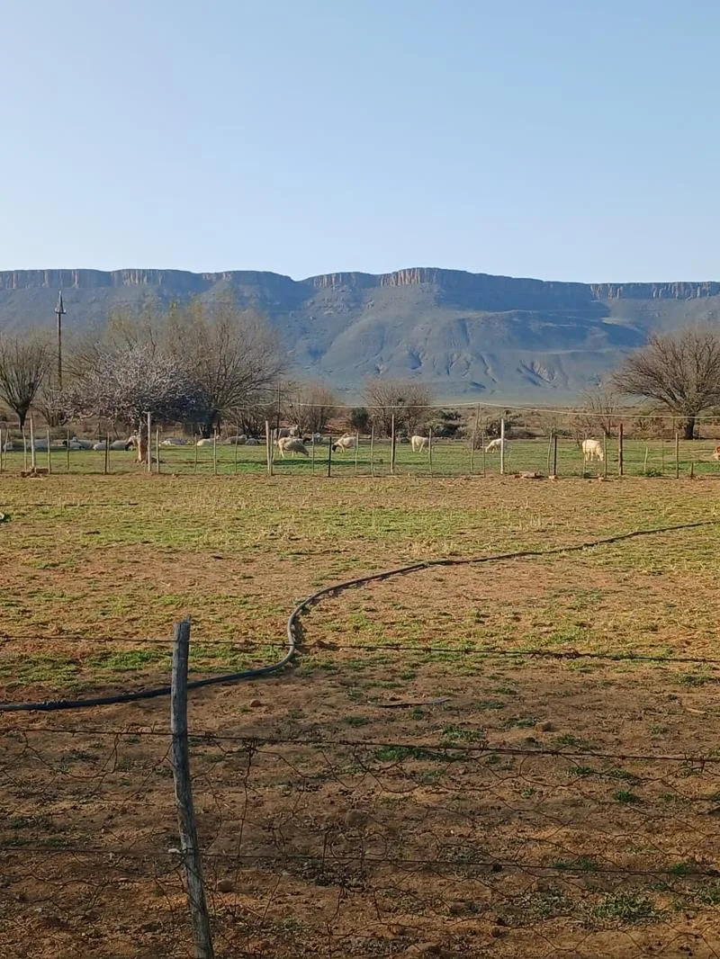 1.6 ha Smallholding in Calvinia