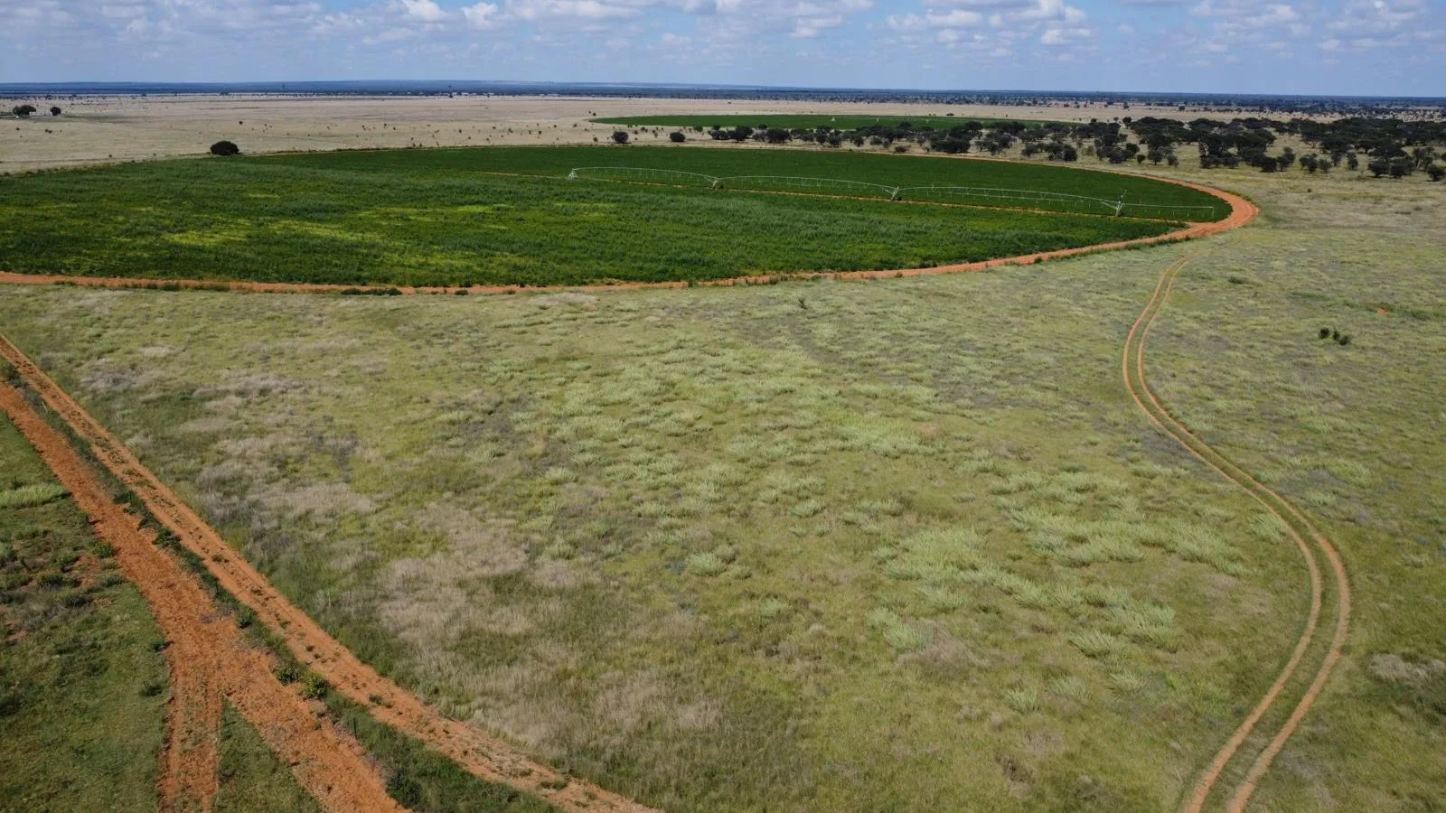 498 ha Commercial Farm in Louwna