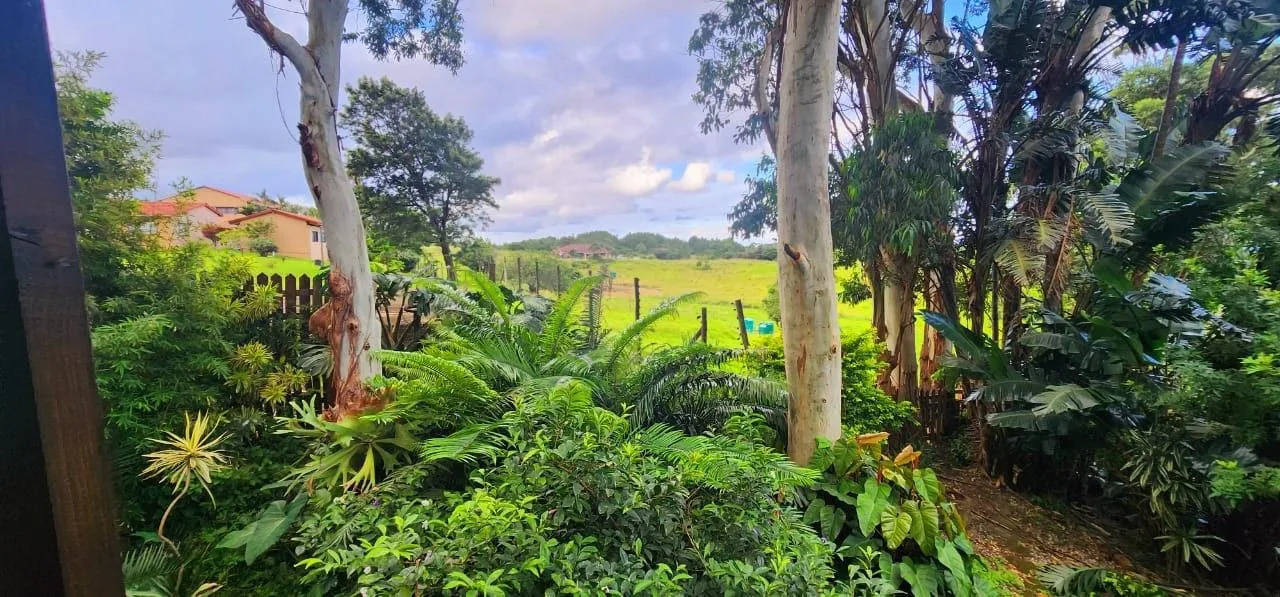 3 Bedroom Townhouse for sale in Hibberdene