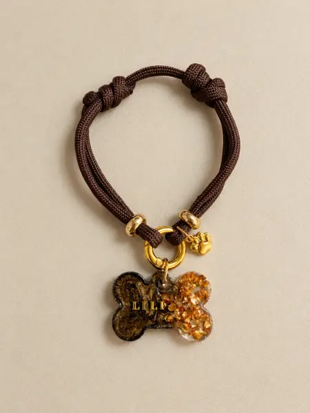 Collar simple + Placa Identificativa Lux Pet resina · Café con oro encapsulado