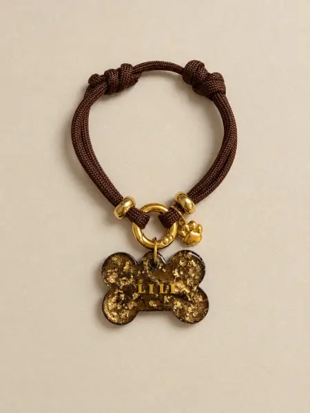 Collar simple + Placa Identificativa Lux Pet resina · Café con pan de oro