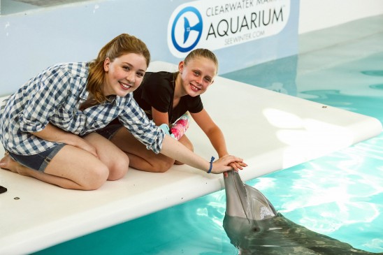 Bionic kid Anni touching Winter, the amazing dolphin with a prosthetic tail