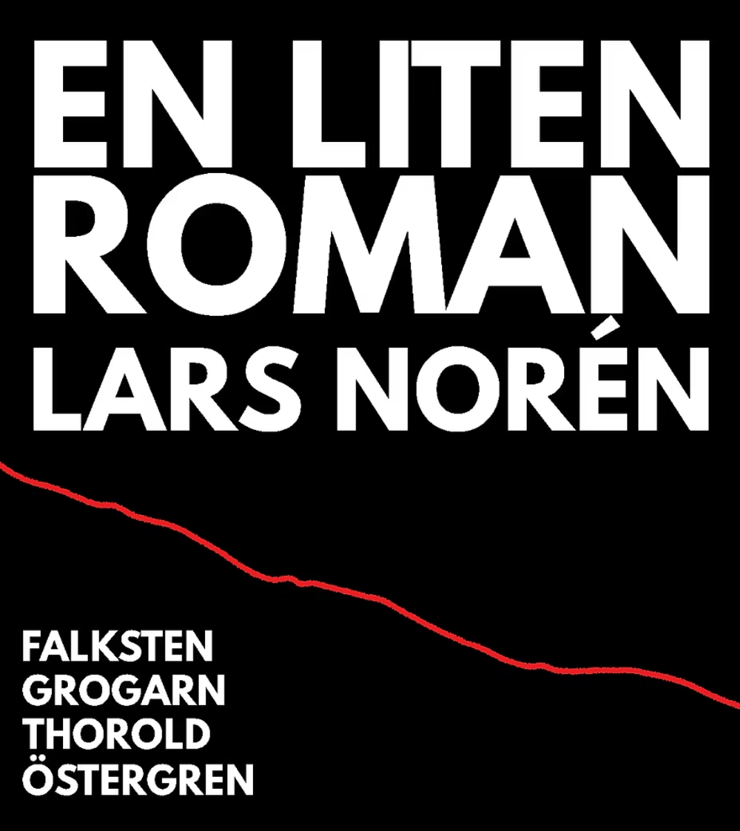 En liten roman