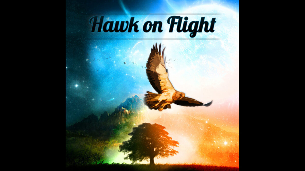 Hawk on flight
