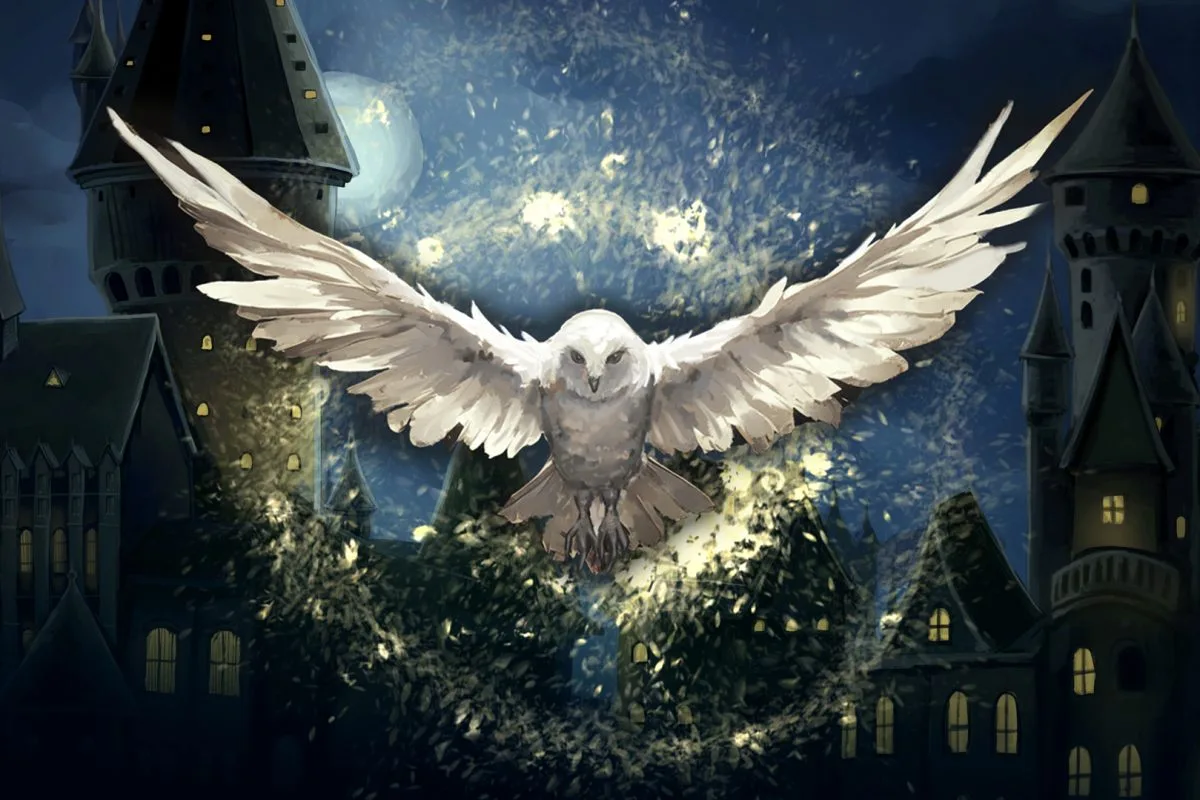 Hogwarts Magic Symphony