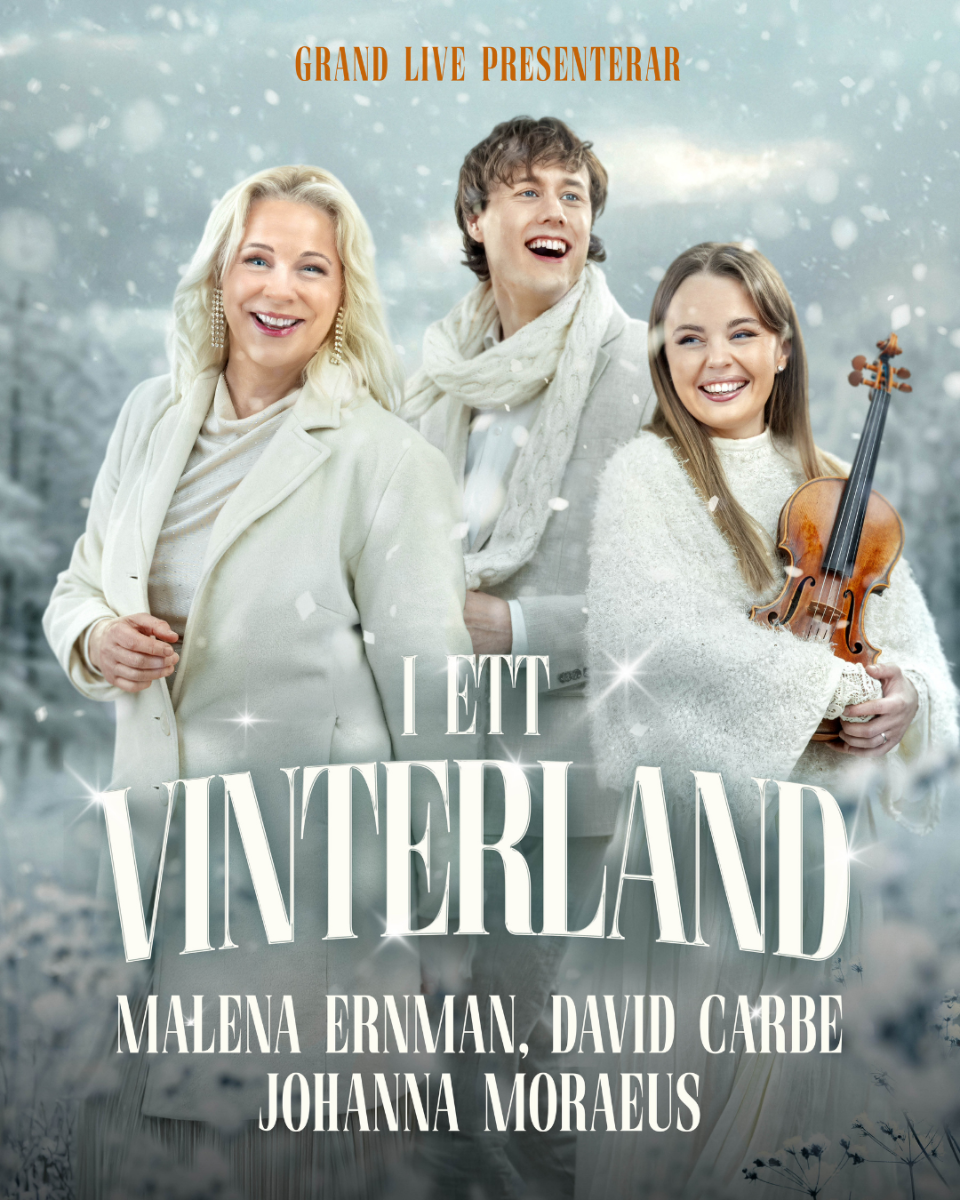 I ett vinterland