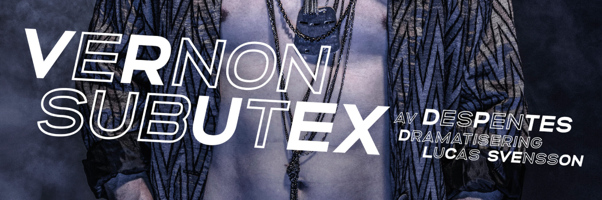 Vernon Subutex
