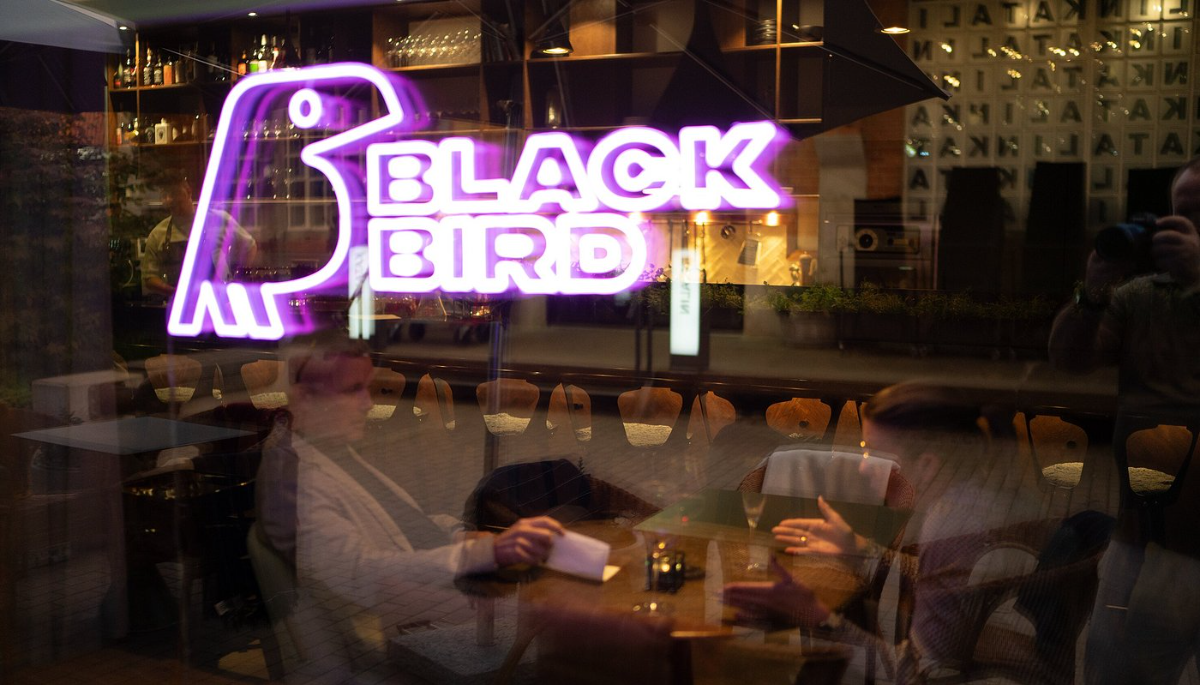 Blackbird