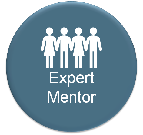 Mentoring by experts