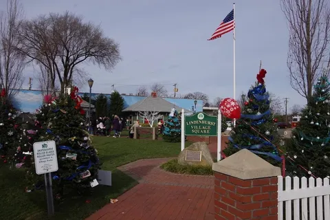 Flyer or image for SANTA IN THE PARK