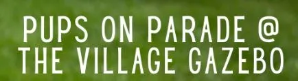 Flyer or image for Pups on Parade & Pet Fair